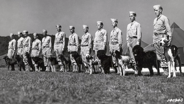 worldwar2searchdogs