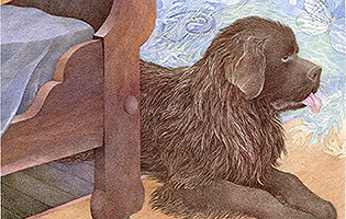 illustration from book