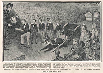Drawing of the presentation of Bouncer