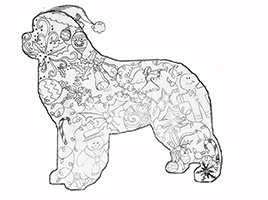 christmasnewf coloring page