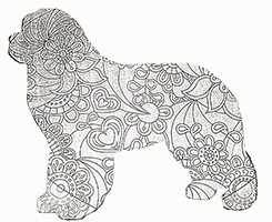 flower newf coloring sheet