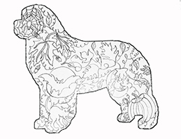 halloween newf coloring page