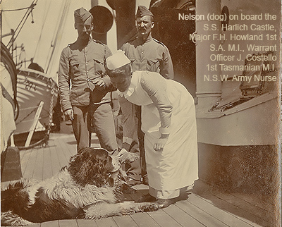 Nelson, mascot from South Australia during the Boer War
